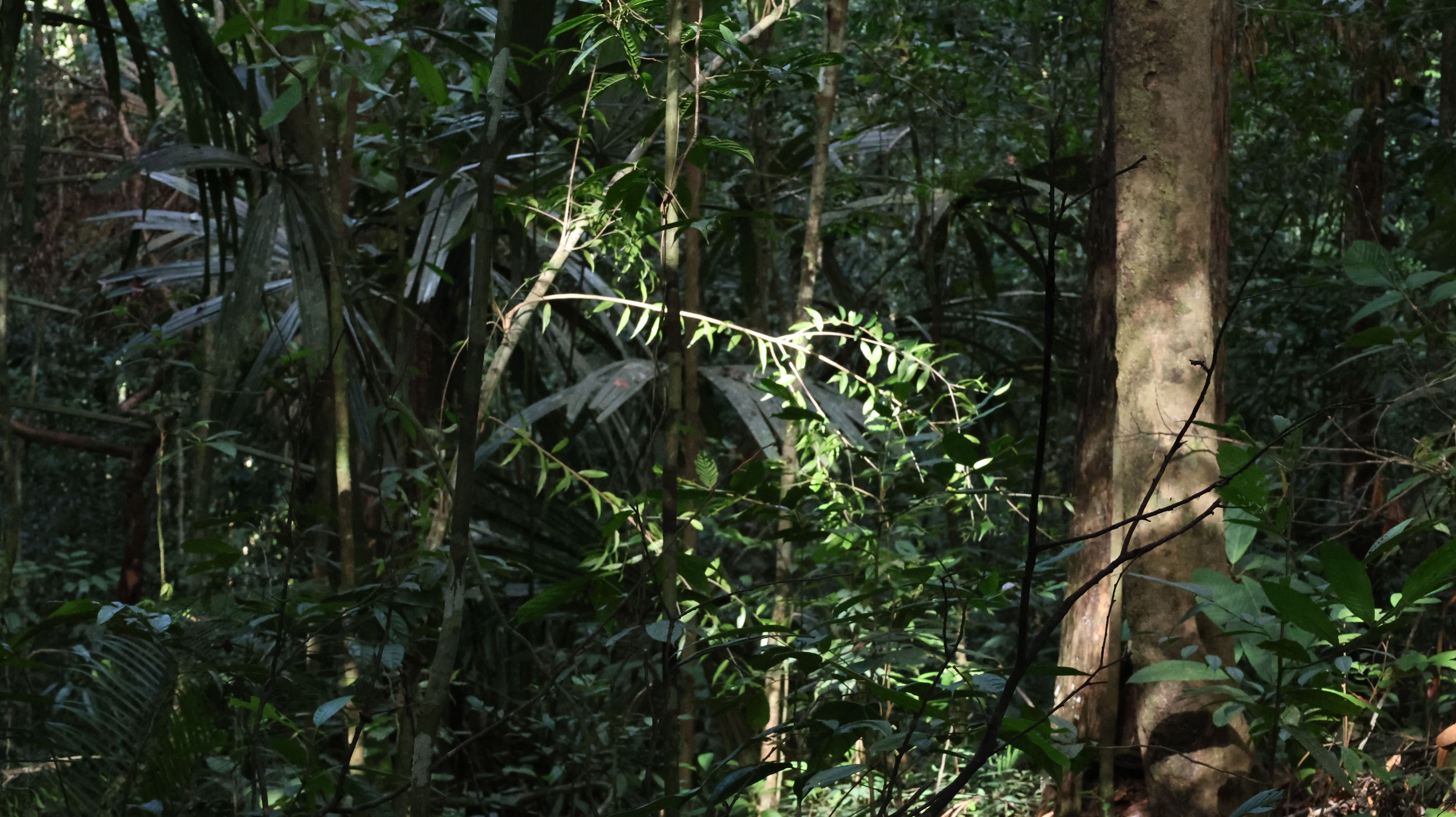 Wartono Kadri Photo 1